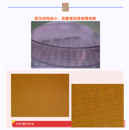 1639548473169752.jpg 2.jpg